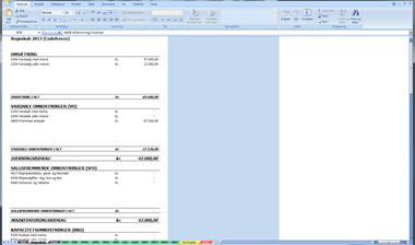 Regnskabs udskrift i excel regnskabsprogram fra Remy.dk